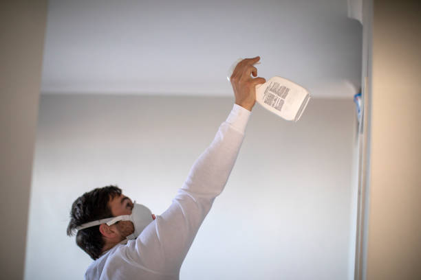 Best Kitchen Mold Remediation in New Baden, IL
