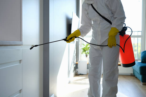 Best Bathroom Mold Remediation in New Baden, IL